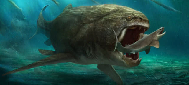 海洋神秘巨兽邓氏鱼,一张嘴就有几条鲨鱼丧命,堪称海底的霸王