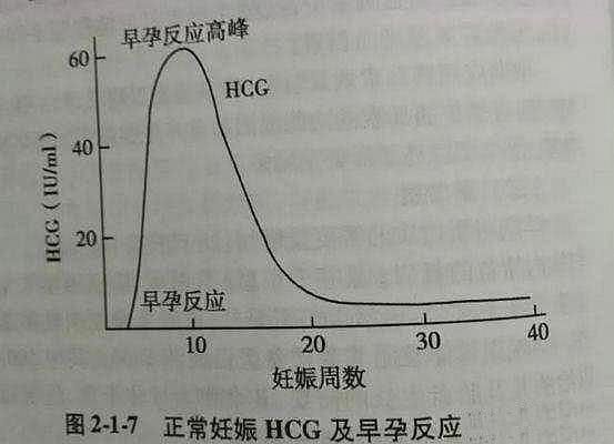 怀孕后雌激素和孕激素上升,对胃肠道的刺激增加,容易引起呕吐.