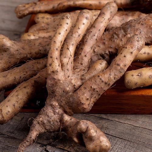 中医推荐一味中药补肺气,补脾气,补肾气|山药|气虚|肺气_新浪新闻