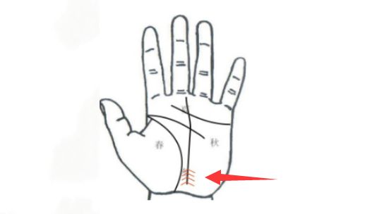 手上一条纹路定富贵, 有它就能腰缠万贯|纹路|富贵|兵符_新浪新闻