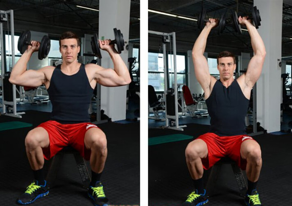 坐姿哑铃推举常见问题分析,正确做推举,让肩部得到更有效地刺激
