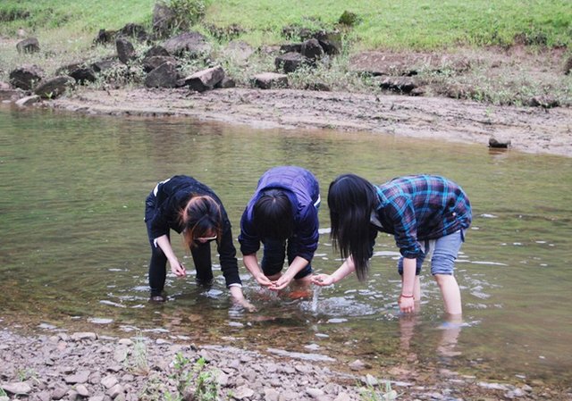 农村几位姑娘下河摸田螺,煮时加了一把农村野草,很好吃!|田螺|农村|野