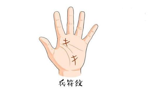 雁阵纹形状像许多大雁并列在掌中央,人生有此纹能发达富贵,必可进入朝