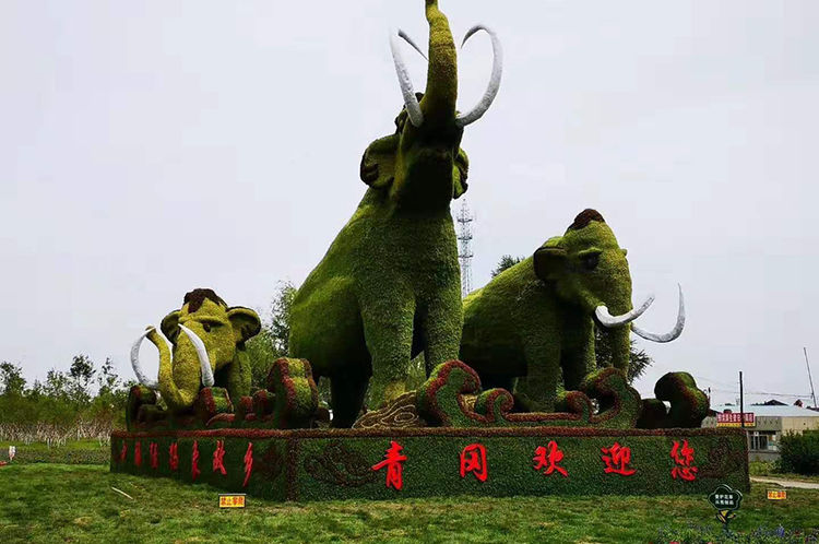 是中国猛犸象之乡,目前还没有铁路|古生物化石博物馆|青冈县|猛犸象