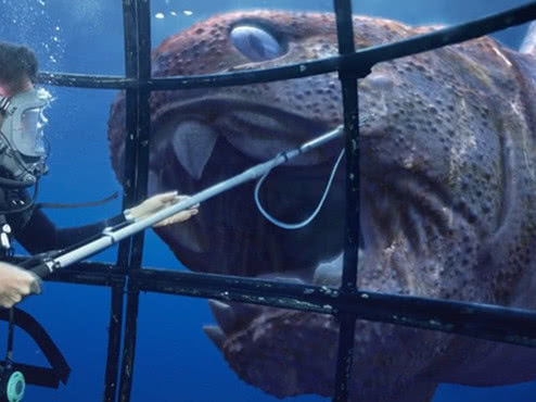 海洋神秘巨兽邓氏鱼,一张嘴就有几条鲨鱼丧命,堪称海底的霸王