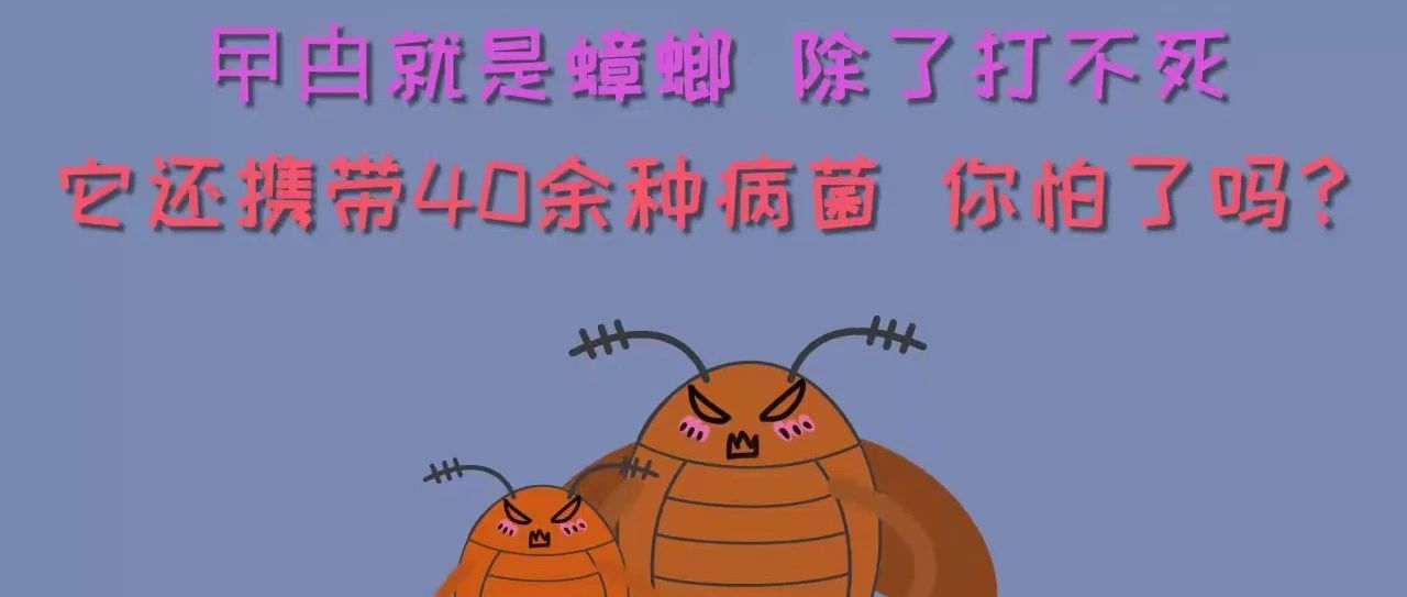 曱甴,一种活了4亿年能传染40余种疾病的常见虫类|南方_新浪新闻
