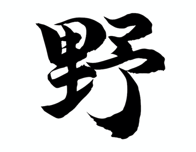 爱豆选秀遍地开花字库公司居然推出设计师boys