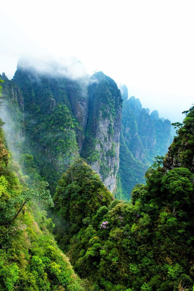 去广西大山深处旅行吧实拍隐藏在大瑶山里的仙境所见都是风景