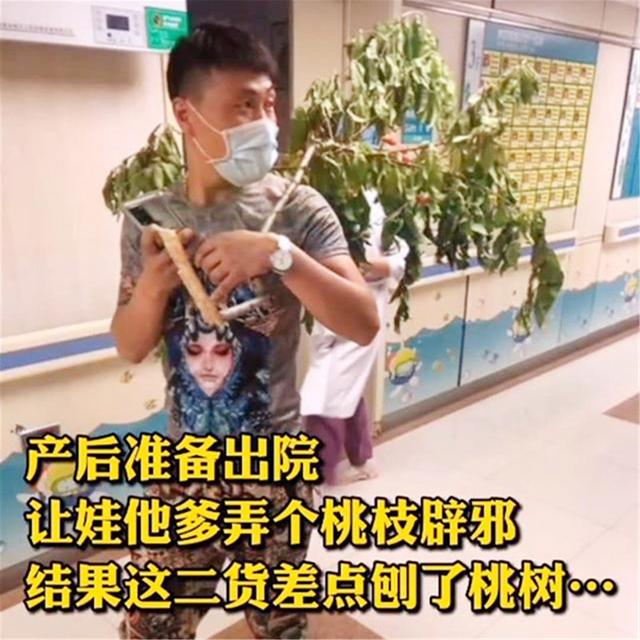憨厚爸爸接娃出院引围观宝妈让折桃枝差点把整棵树搬来