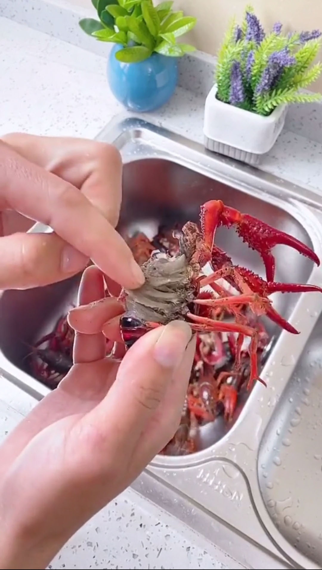 关于龙虾的清洗处理方法就讲完了,如果觉得本文对你有帮助记得收藏,点