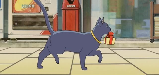 猫的报恩猫王的无理只是插曲