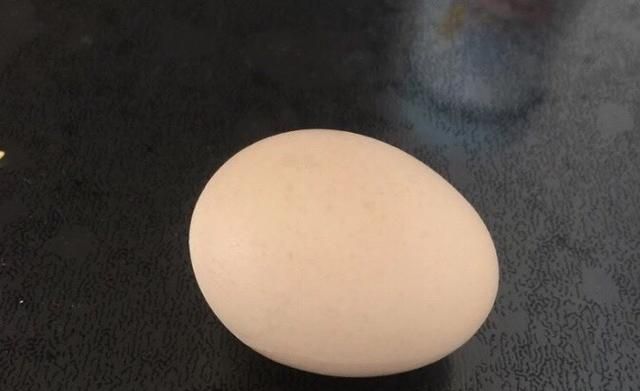 老蛋农说出实话