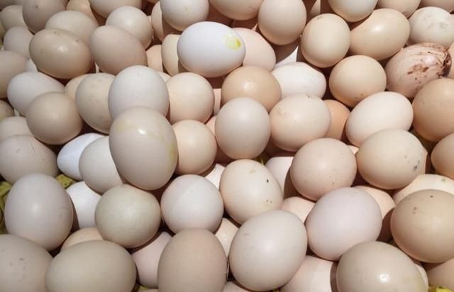 老蛋农说出实话