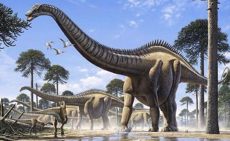 世界上体型最大的恐龙,体重达到了100吨,是恐龙中的老大