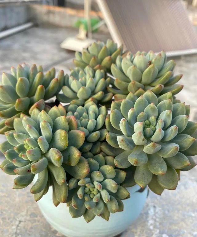 从无间炼狱的六月穿越回天上人间的四月