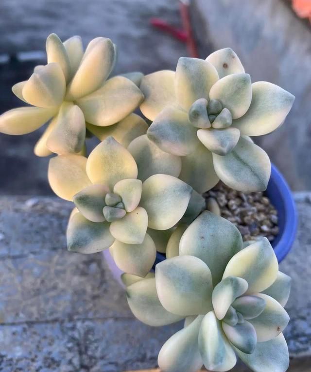 从无间炼狱的六月穿越回天上人间的四月