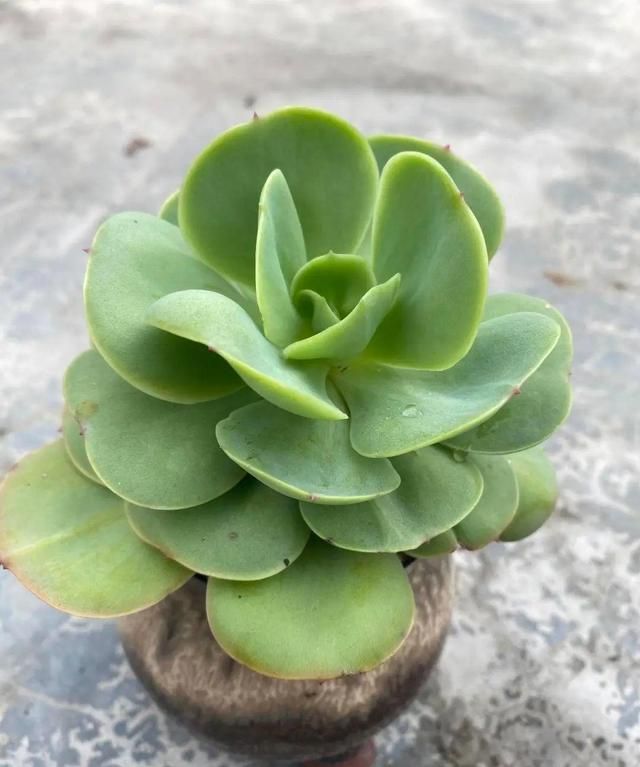 从无间炼狱的六月穿越回天上人间的四月