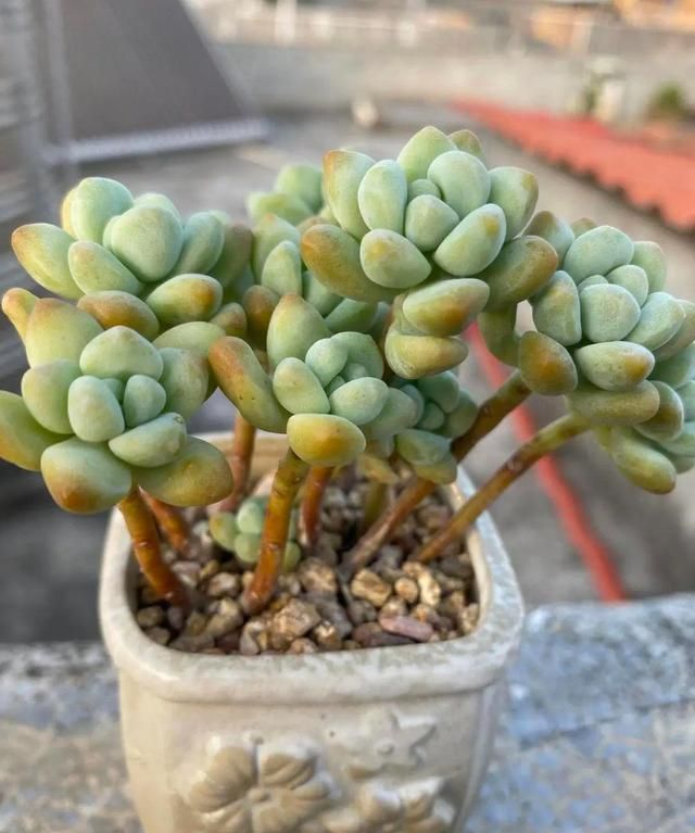 从无间炼狱的六月穿越回天上人间的四月