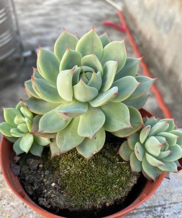 从无间炼狱的六月穿越回天上人间的四月