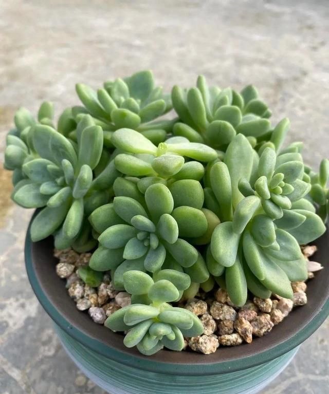 从无间炼狱的六月穿越回天上人间的四月