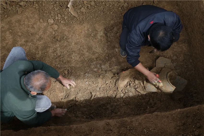 发现比甲骨文早1000年的文字的人,原来是湖州人的他|甲骨文|考古|梅