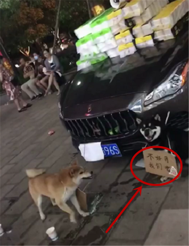 夜市卖餐巾纸的玛莎拉蒂，车价94万，车主现场配2条柴犬来吸引人