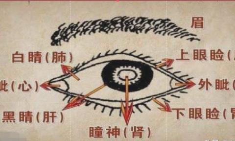太全面了！中医面诊+背诊+手诊知识精华，收藏了吧|疾病|便秘_新浪新闻