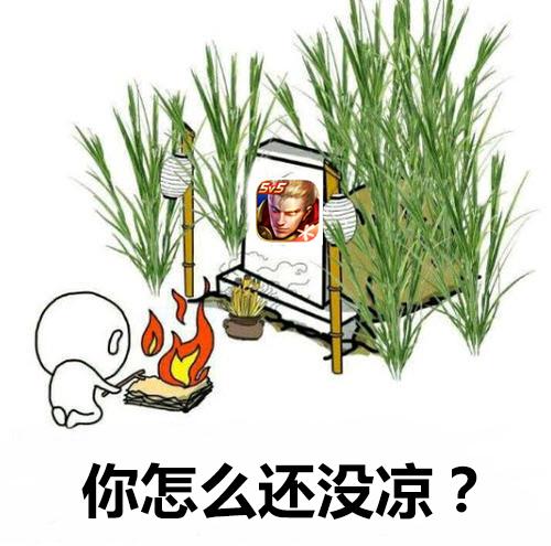 如果《王者荣耀》会因为有玩家唱衰凉凉,那这游戏的坟头草估计现在