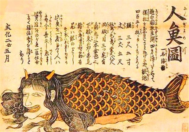 日本瑞龙寺存放的真龙标本和河童标本到底是不是真的