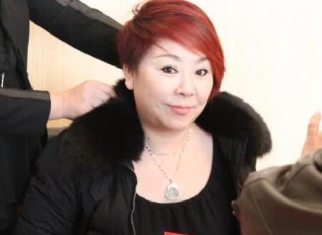 赵本山捧红的女徒弟,整容后,被男友骗光积蓄如今成单亲妈妈|衡越|赵