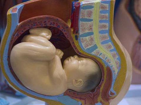孕36周,孕妈多注意这几个方面,也许对胎儿平安降生有帮助