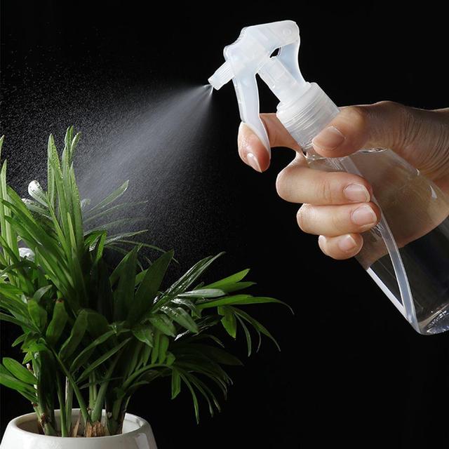 养花用水很关键,这3种常见浇花水有什么区别?哪一种更好