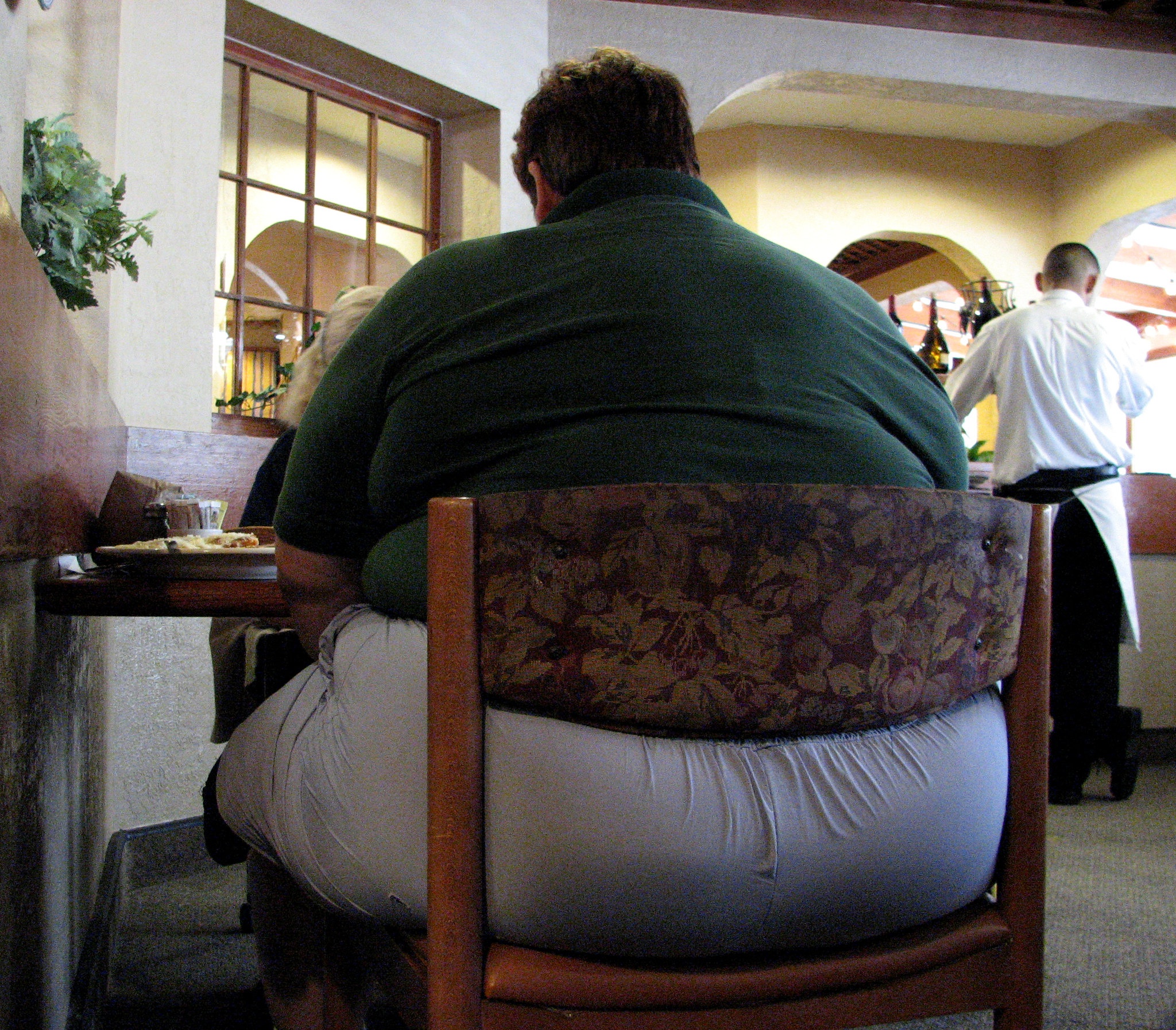 美国是世界上最肥胖的发达国家,成年人接近40%是胖子.