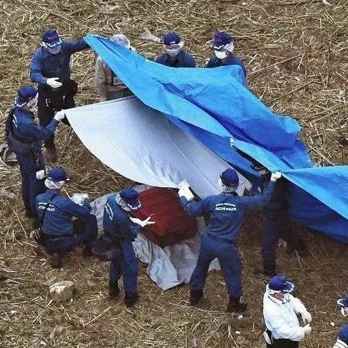 悲惨 一中国籍女子国外遇害被藏尸行李箱 呈高度白骨化 31岁男子被抓