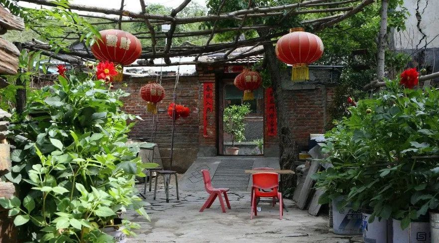 如果你在农村有一个老院子,千万不要荒废了,要这样整起来