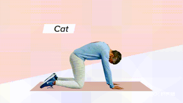 30天完美姿势指南,加强肌肉,恢复健康脊柱|下犬式|姿势|臀部_新浪新闻