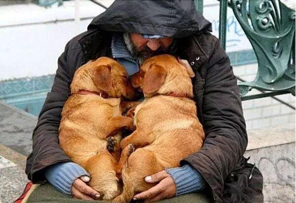 真正爱狗的人,会有这7个明显特征,你有吗?