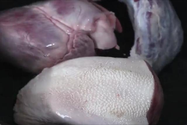 3,把焯好水的牛舌皮面的一层白色物质和舌头上摸起来刺手的东西用刀片