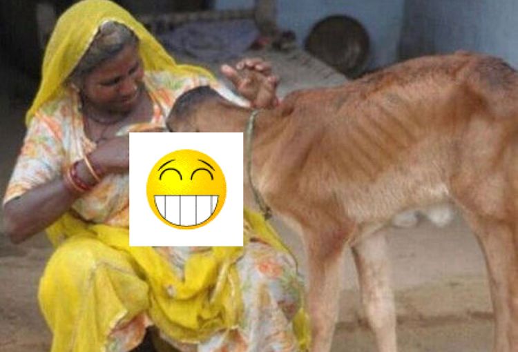 牛是哺乳动物,而且牛奶也有丰富的营养,包括现在的奶粉很多都是用牛奶