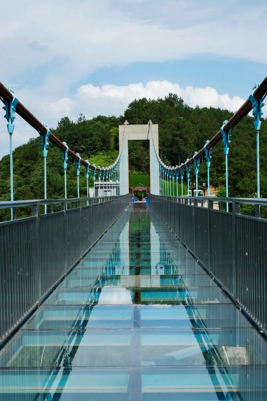 超鲜杨梅,浙江第一长玻璃索桥!杭州出发最快25min抵达的"壕气县城"!