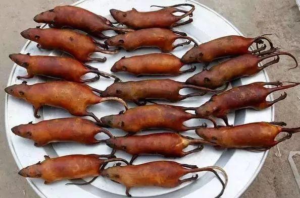 乍眼一看这个倒是挺香的,早市上的烤鱼用筷子拴在鱼上面烤三叫菜6云南