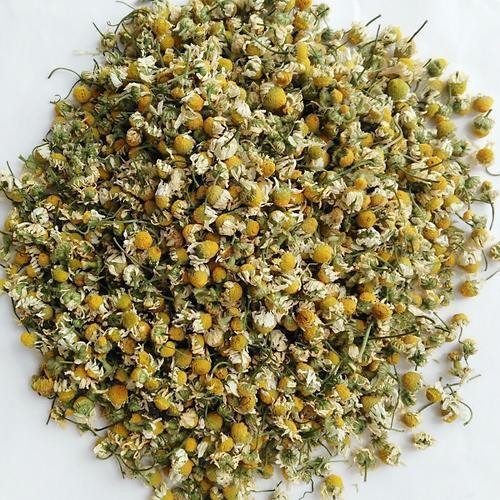 洋甘菊的种植方法很简单,通常都是通过种子培育和生长.