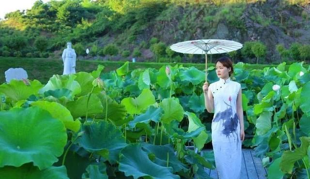 网约湘游丨雨母山：十里荷塘花盛开