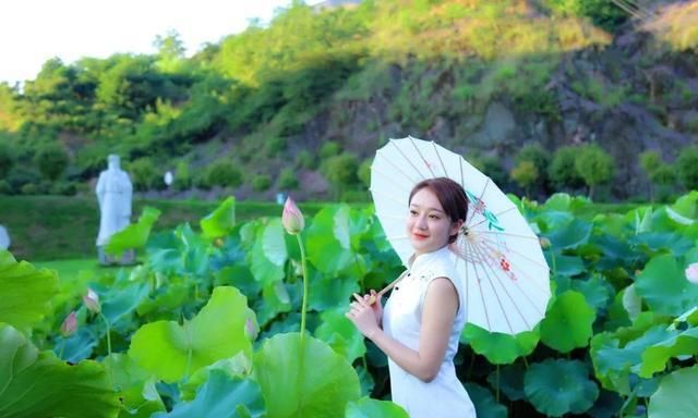 网约湘游丨雨母山：十里荷塘花盛开