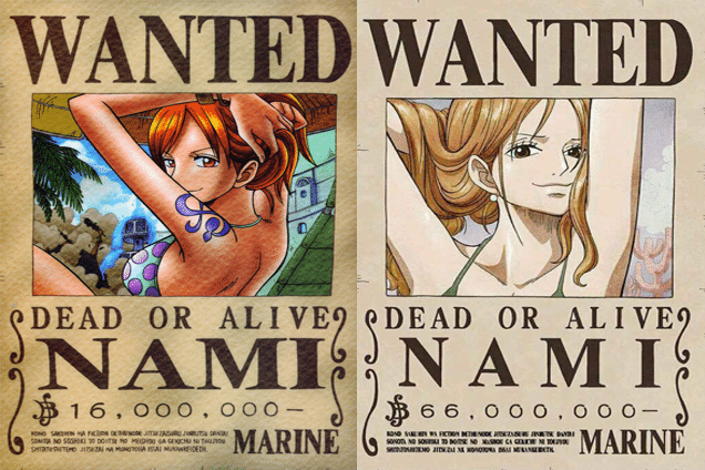 海贼王2年后悬赏令的变化娜美与罗宾蜕变布鲁克改变了物种