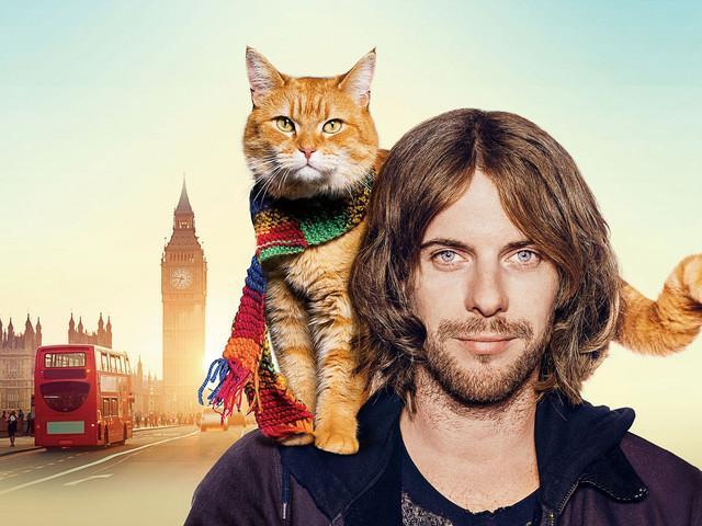 流浪猫鲍勃去世那只治愈了全世界的橘猫离开了这个世界