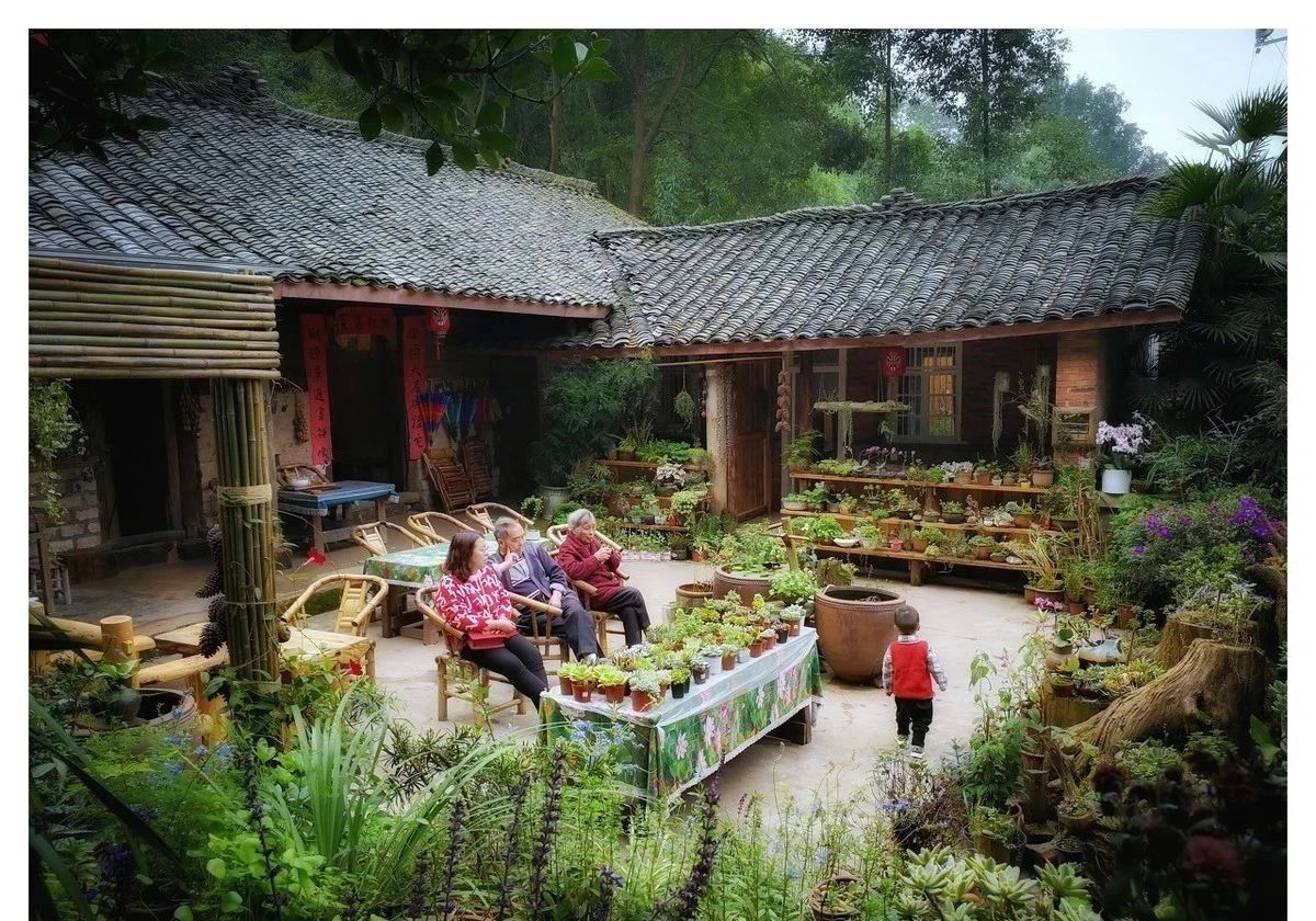 穿越之黎锦的农家日常