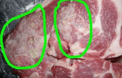 一样是猪肉公猪肉和母猪肉如何区别弄懂后千万别买错