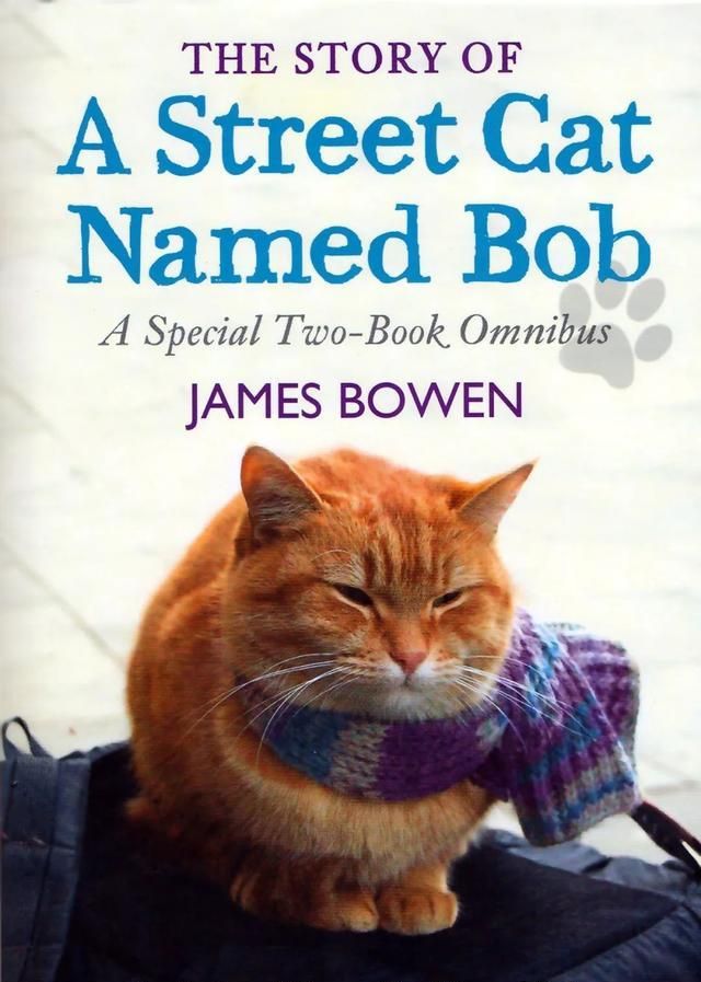 曾经出过书演过电影感动过无数人的流浪猫鲍勃,回去喵星了