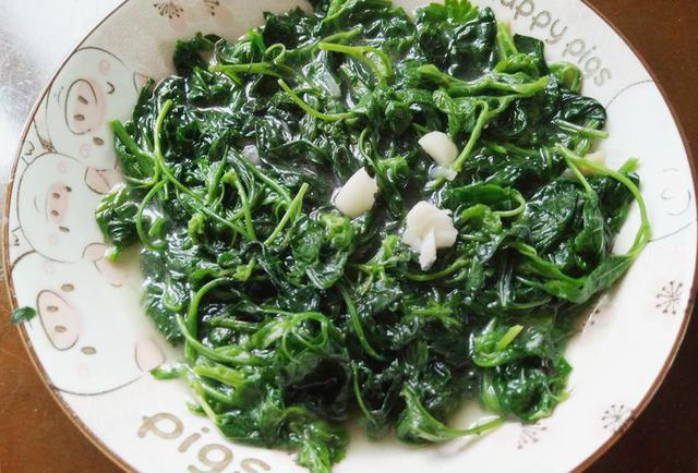 6月的美味灰灰菜吃过的人才见证了时代